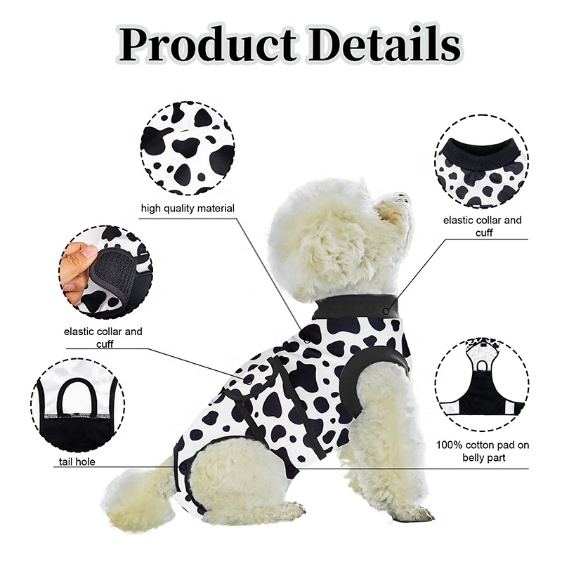 Setelan Bedah Anjing Pabrik Pa - Leather Work Factory ulasan dan harga