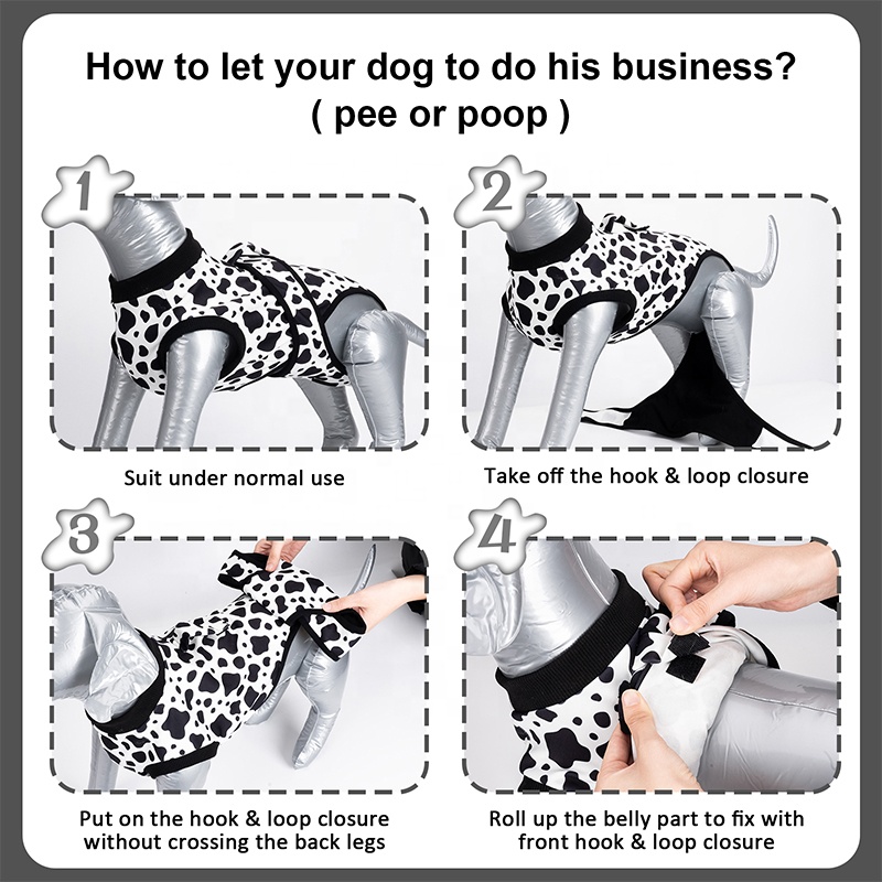 Setelan Bedah Anjing Pabrik Pa - Leather Work Factory ulasan dan harga